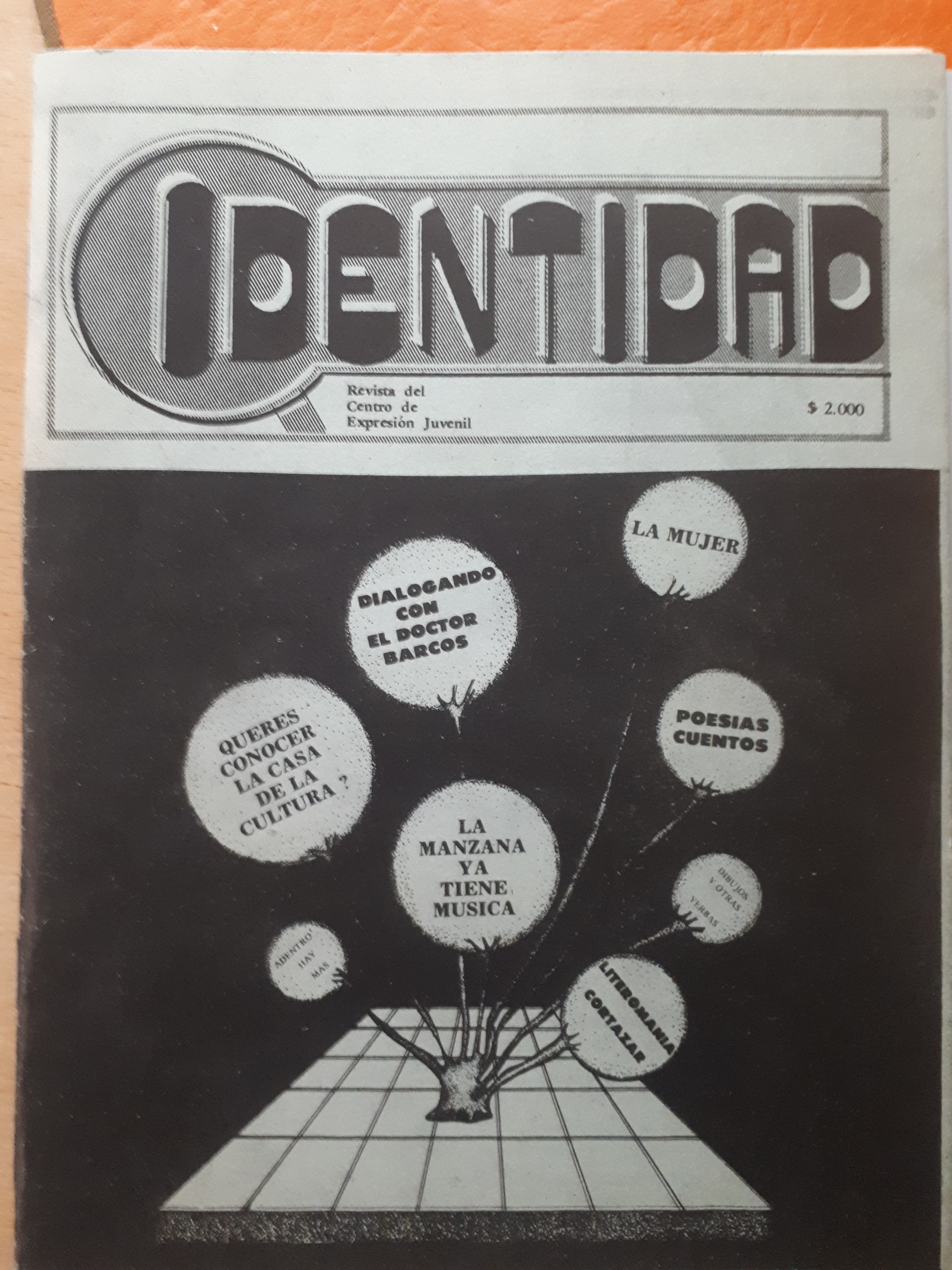 Portada Revista Identidad N°3