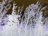 Invierno